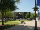 Downtown Ocala near the common