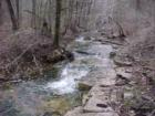 Back Woods
