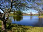 Patton Park Pond