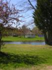 Patton Park Pond, another view