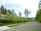 Nolan Woods neighborhood is a gated community featuring wide streets and extensive well planned landscaping.