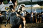 Montana Bull Rider - Mineral County Rodeo