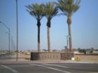 Entrance to Palm Valley 5 sub-division from Camelback Rd in Goodyear (Toll brothers is building to the North and this entrance was under construction when I took this shot) Palm Valley 5 consists of new homes by Meritage, Beazer, Lennar and more...