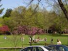Another view of the beautiful town park in Bloomsburg, PA