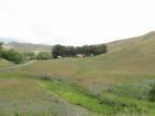 One of the many ranches in Cayucos right off of Hwy 1
