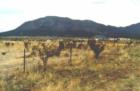 Edgewood, NM