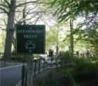 Strawberry Fields - Section of Central Park opposite The Dakota named in memory of John Lennon