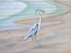 Gorgeous bird painting on the side of the King's Seafood Restaurant.