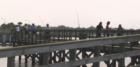 Great fishing from the public dock, under the Port Orange bridge. This dock is on the east side, on the peninsula.