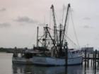 Shrimp boats bring fresh shrimp to the restaurants under the Port Orange bridge. Visit them all!
