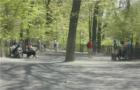 Dog Run, Riverside Park, Manhattan