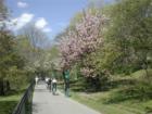 Biking, Jogging in Riverside Park, Manhattan