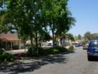 The Rancho Santa Fe Village is small, but is home to lovely boutiques, fine dining, several real estate offices and antique dealers. 