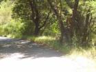 One lane road at border of Kentfield and San Rafael