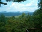 View From Home On Katydid Lane in My Mountain Community