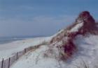 St. Joe State Park