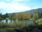Discovery Center Pond