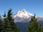 Mt. hood