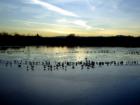 Sanborn lake in Belair.