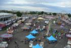 Annual Stampede at Island Grove