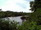 Dead Stream Near Canadian Border!