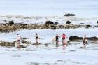 Beach at Scituate