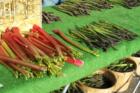 Farmer's Market veggies in Grandville, MI