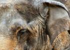 San Diego Zoo