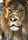San Diego Zoo