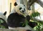 San Diego Zoo