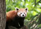San Diego Zoo