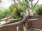 San Diego Zoo