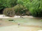 San Diego Zoo