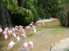 San Diego Zoo