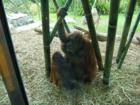 San Diego Zoo