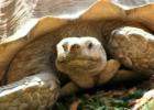 San Diego Zoo