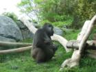 San Diego Zoo