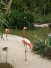 San Diego Zoo