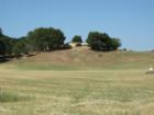 An open hay field off of Main Street in Templeton California on the North end of town.