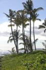 Poipu