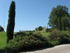 Donati Family Vineyards front yard - visable as you drive on Vineyard Drive.