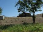 Vineyard land and old storage shed.