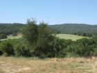 View from the Vineyard Elementary School - lucky kids!