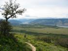 Columbia Gorge to the west from Nature Conservancy's Tom McCall Point. Arrowleaf balsamroot blooms in the foreground, and Rowena Plateau shows in the mid-ground.