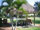 Tiki hut in green space located in Harbor Bluffs neighborhood in Largo, Florida - located minutes from indian Rocks Beach 