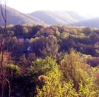 ASHEVILLE, NC. May Comes to the Valley. Homes Nestle Quietly in the Spring Light