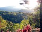 ASHEVILLE, N.C. The Valley Wakes Up and Dresses in Spring Colors