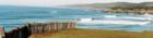 Coastline from the Sea Ranch 