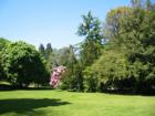 Park at the Ballard Locks