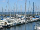 Shileshole Marina